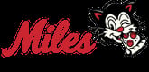 Miles Pizza Slice